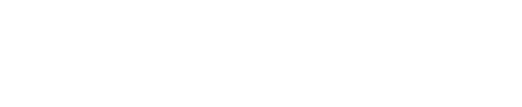 BRISKO logo